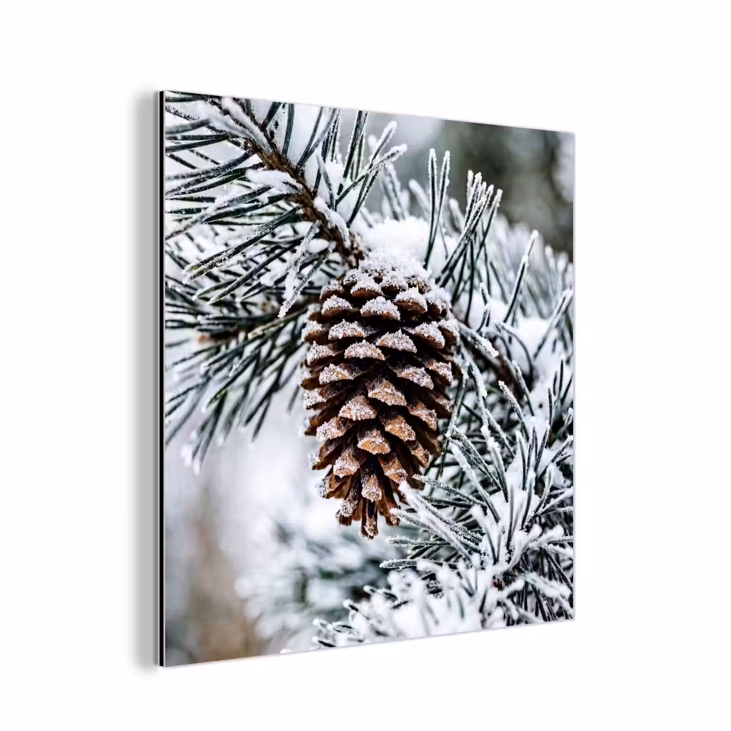 Dennenappel - Tak - Sneeuw - Winter - Sfeervol aluminium wit klein -3d
