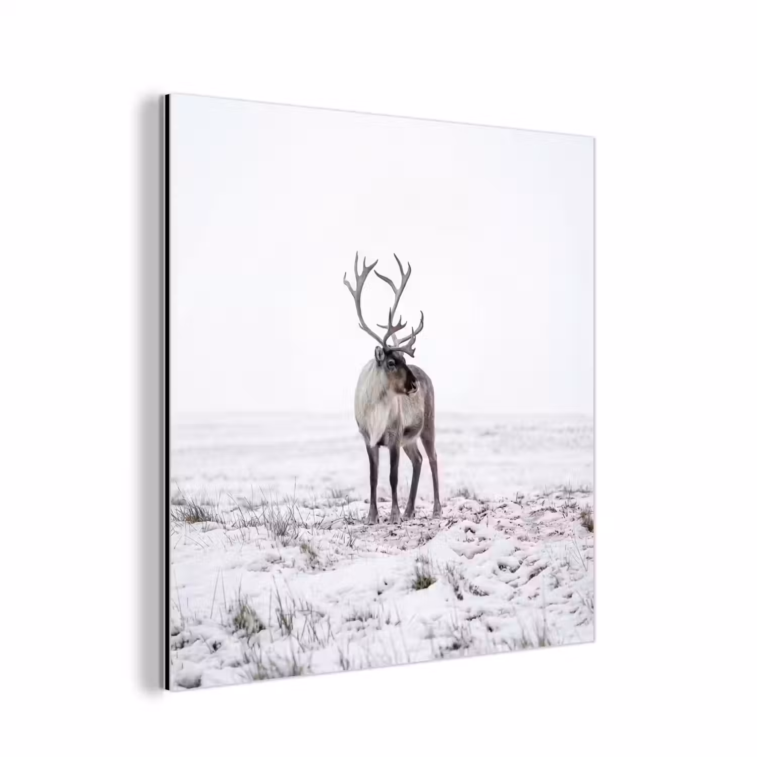 Rendier - Gewei - Sneeuw - Winter aluminium wit klein -3d