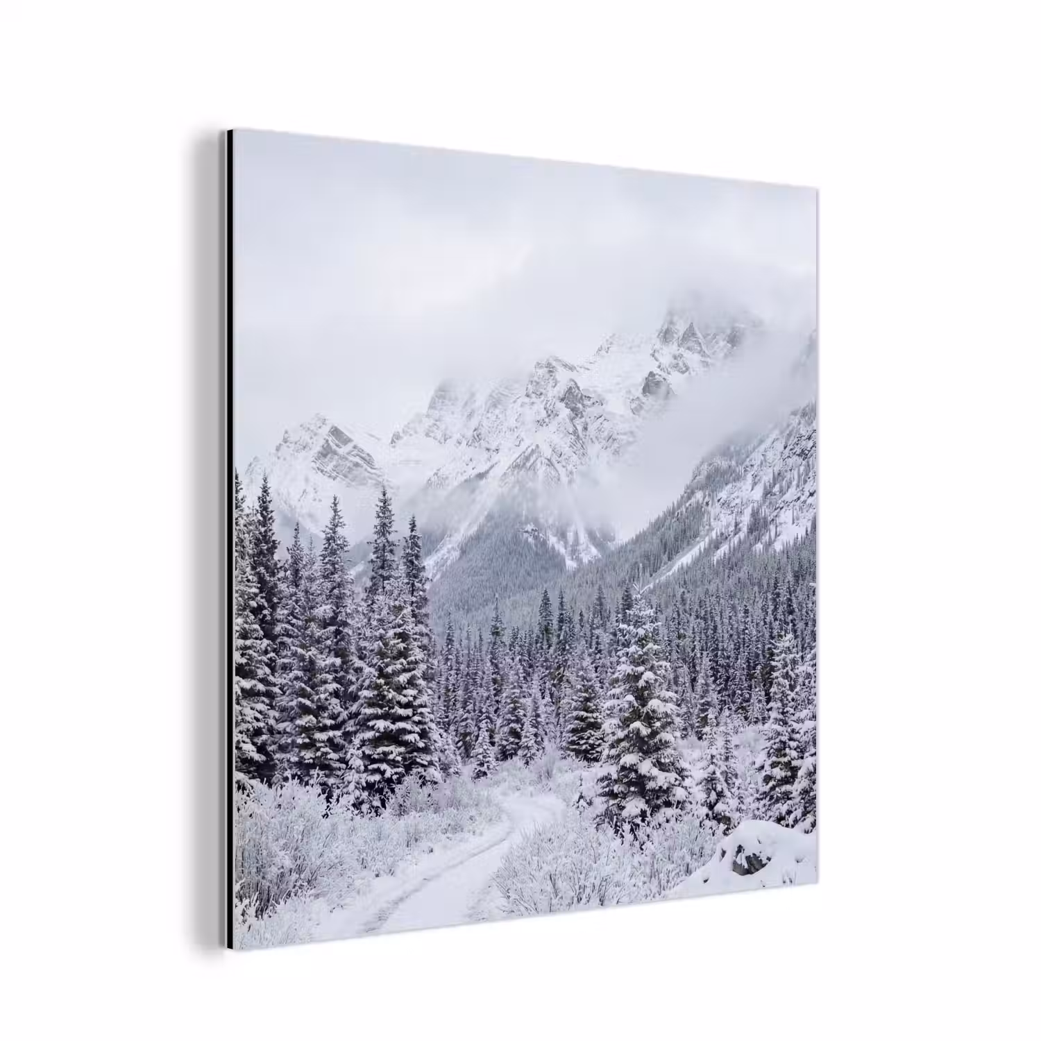 Weg - Bergen - Sneeuw - Naaldbos - Avontuurlijk aluminium wit klein -3d