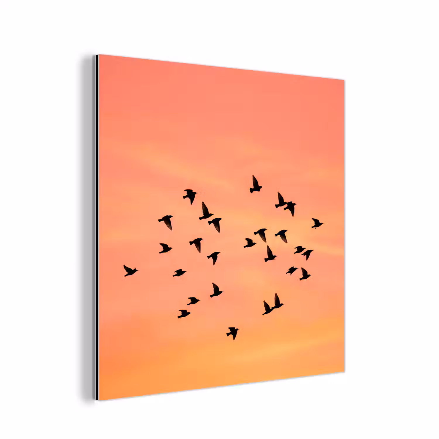 Zwerm - Vogels - Oranje aluminium wit klein -3d
