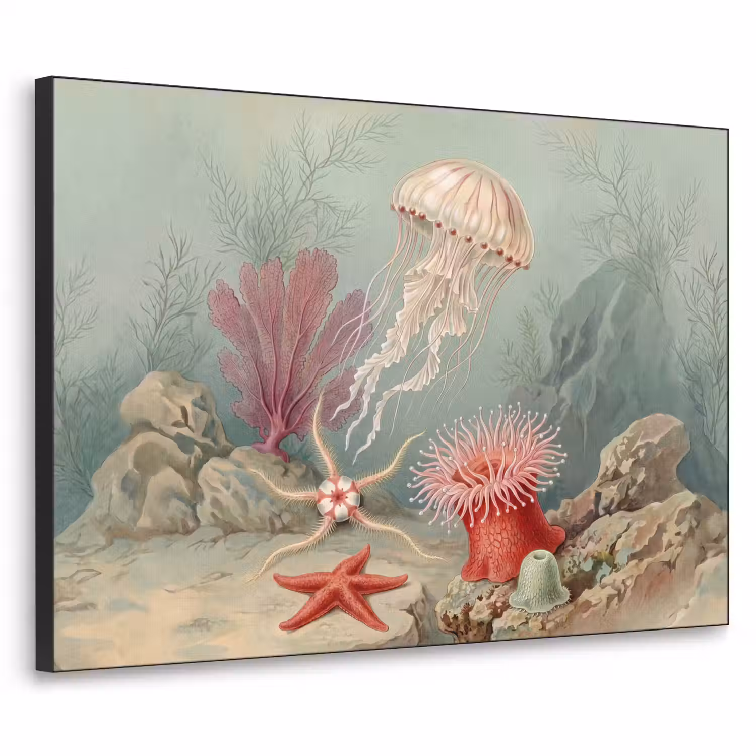 Zeeleven - Kwal - Onderwater - Illustratie - Beige Textielframe zwart klein -3d