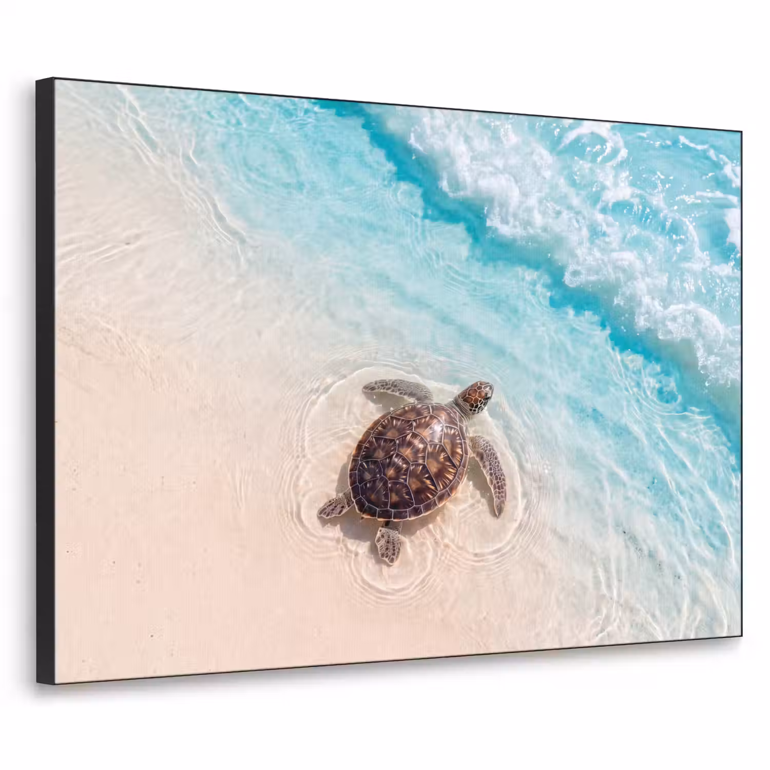 Schildpad - Helder water - Strand - Dieren - Natuur Textielframe zwart klein -3d