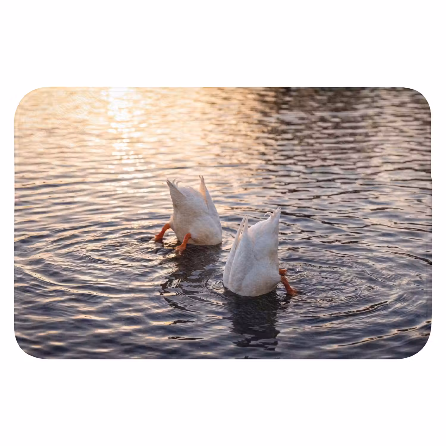 Eenden - Water - Natuur Badmat klein -3d