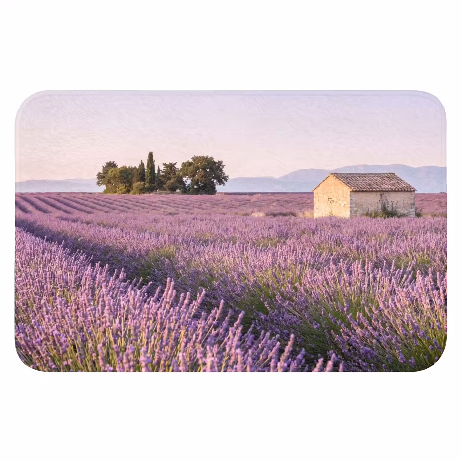 Lavendel - Landschap - Sereen - Paars Badmat klein -3d