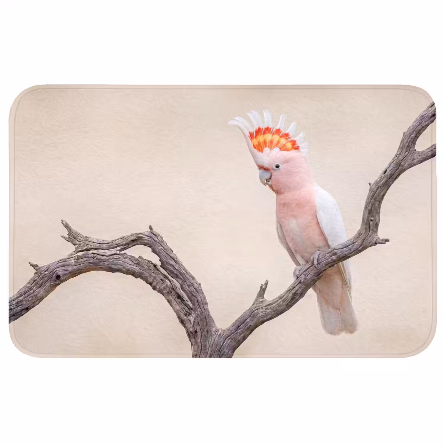 Papagaai - Tak - Roze Badmat middel -3d