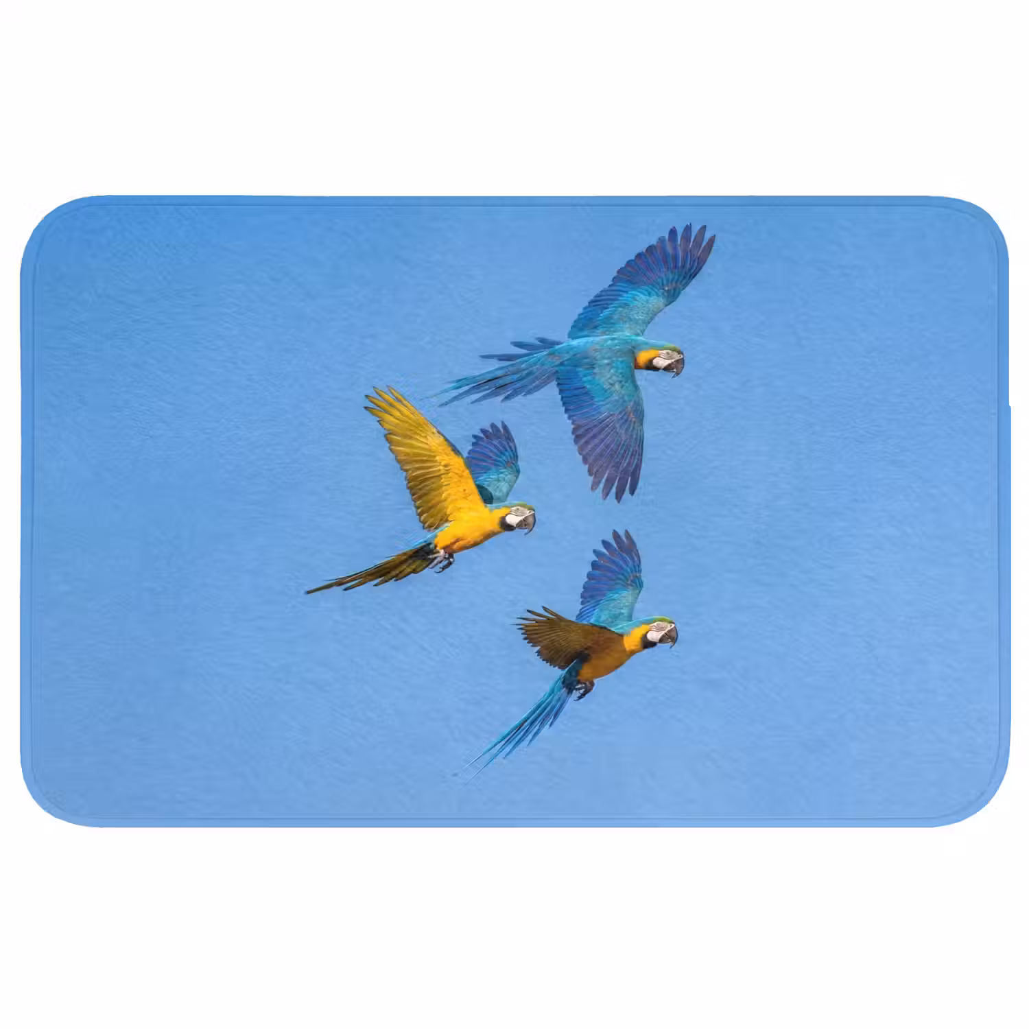 Papagaai - Vliegen - Blauw - Geel Badmat middel -3d