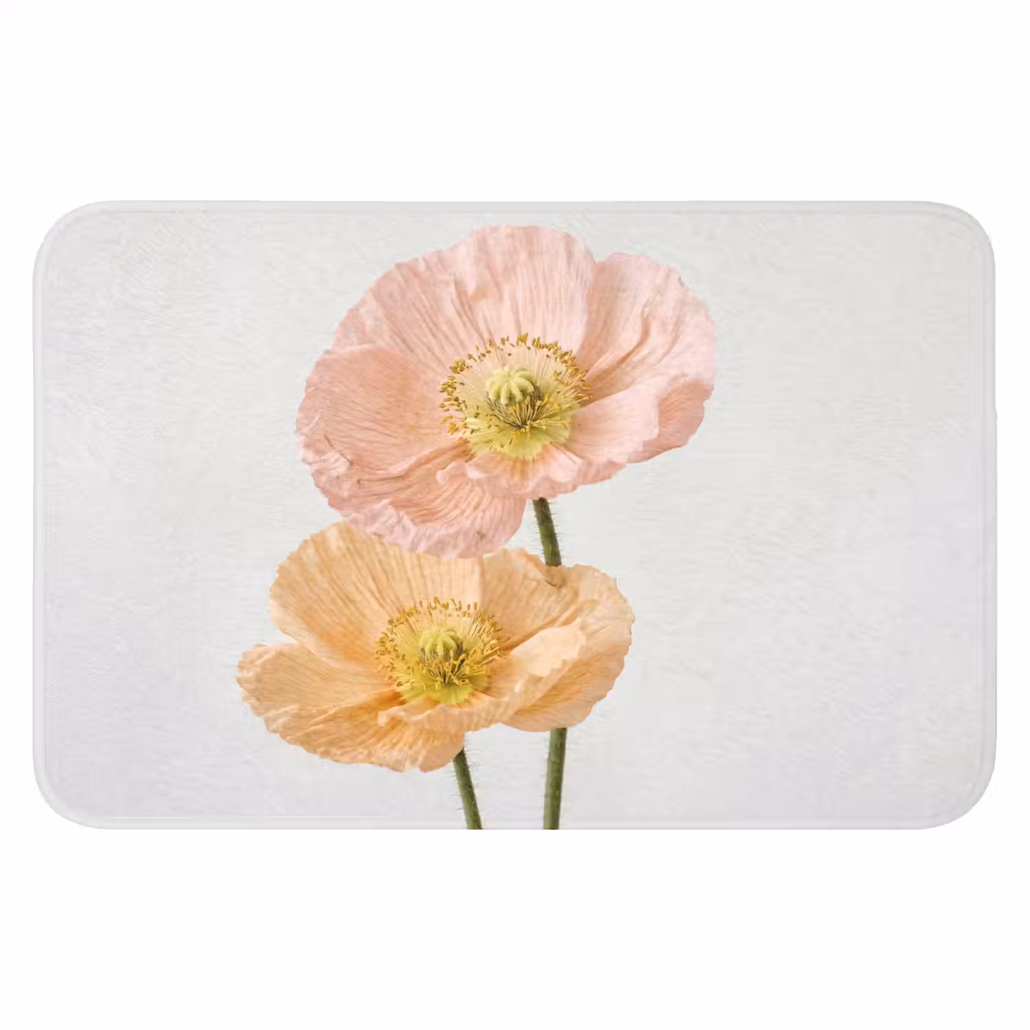 Papavers - Botanisch - Roze Badmat klein -3d