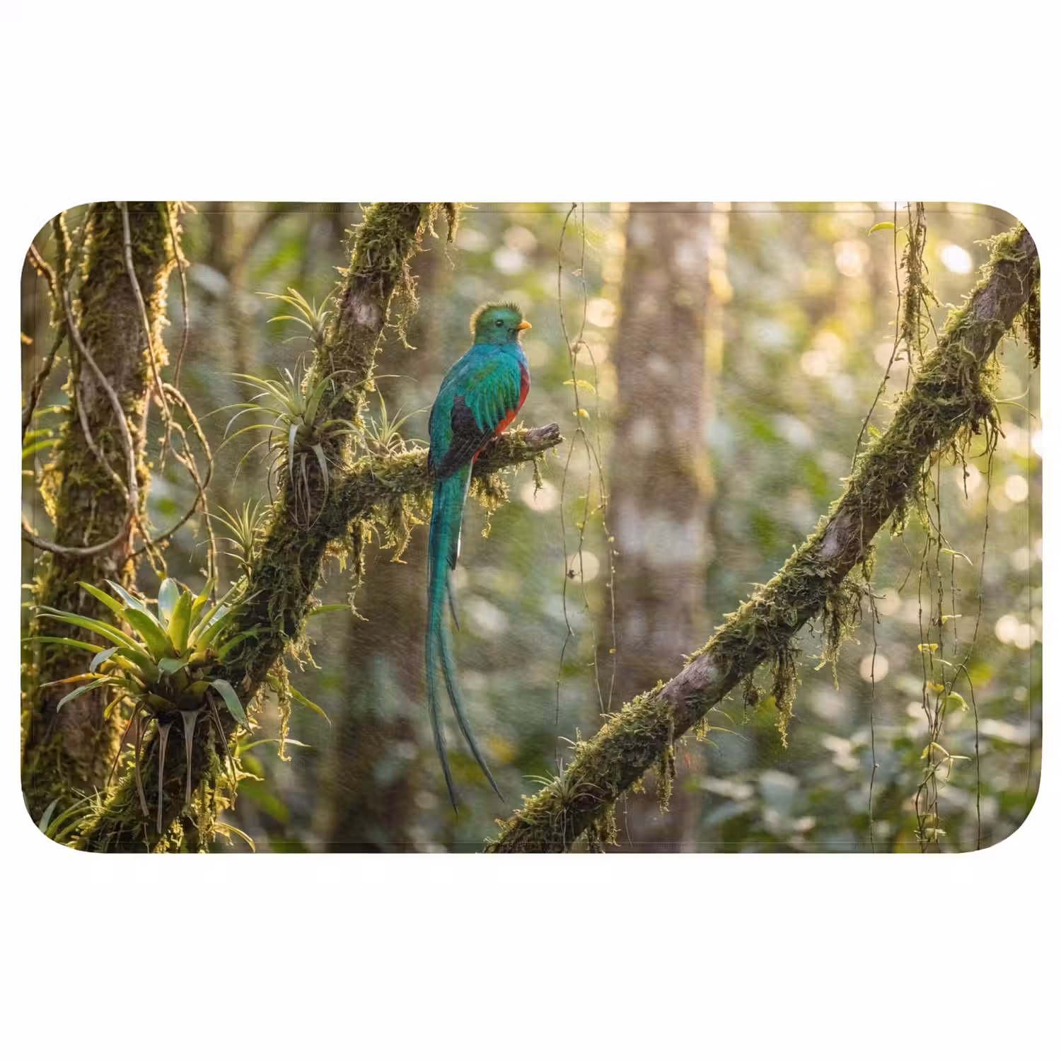 Quetzal - Jungle - Natuur - Groen Badmat middel -3d