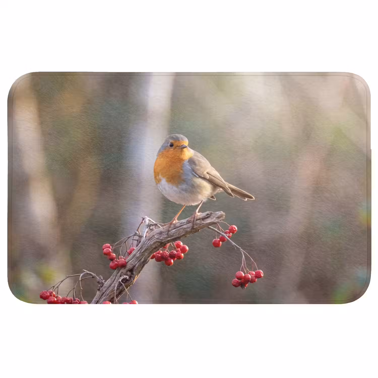 Roodborst - Tak - Bessen - Natuur Badmat middel -3d