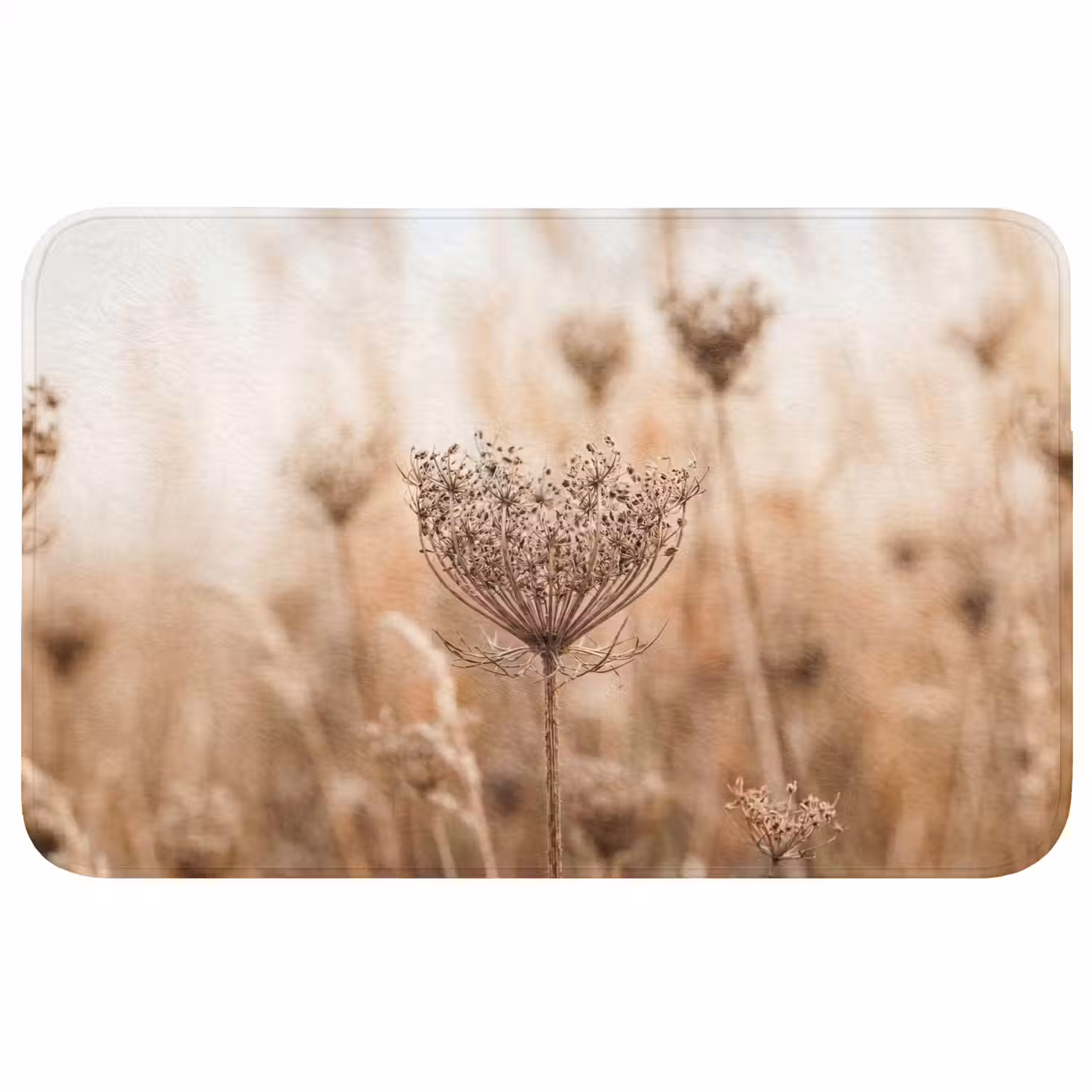 Schermbloem - Droogbloem - Winter - Beige - Minimalistisch Badmat middel -3d