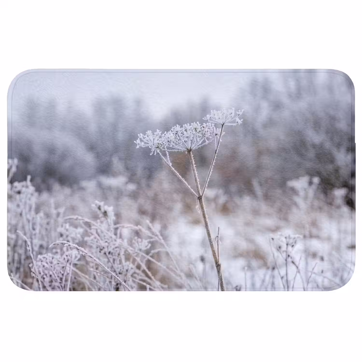 Schermbloem - Rijp - Kristallen - Winter - Delicaat Badmat middel -3d