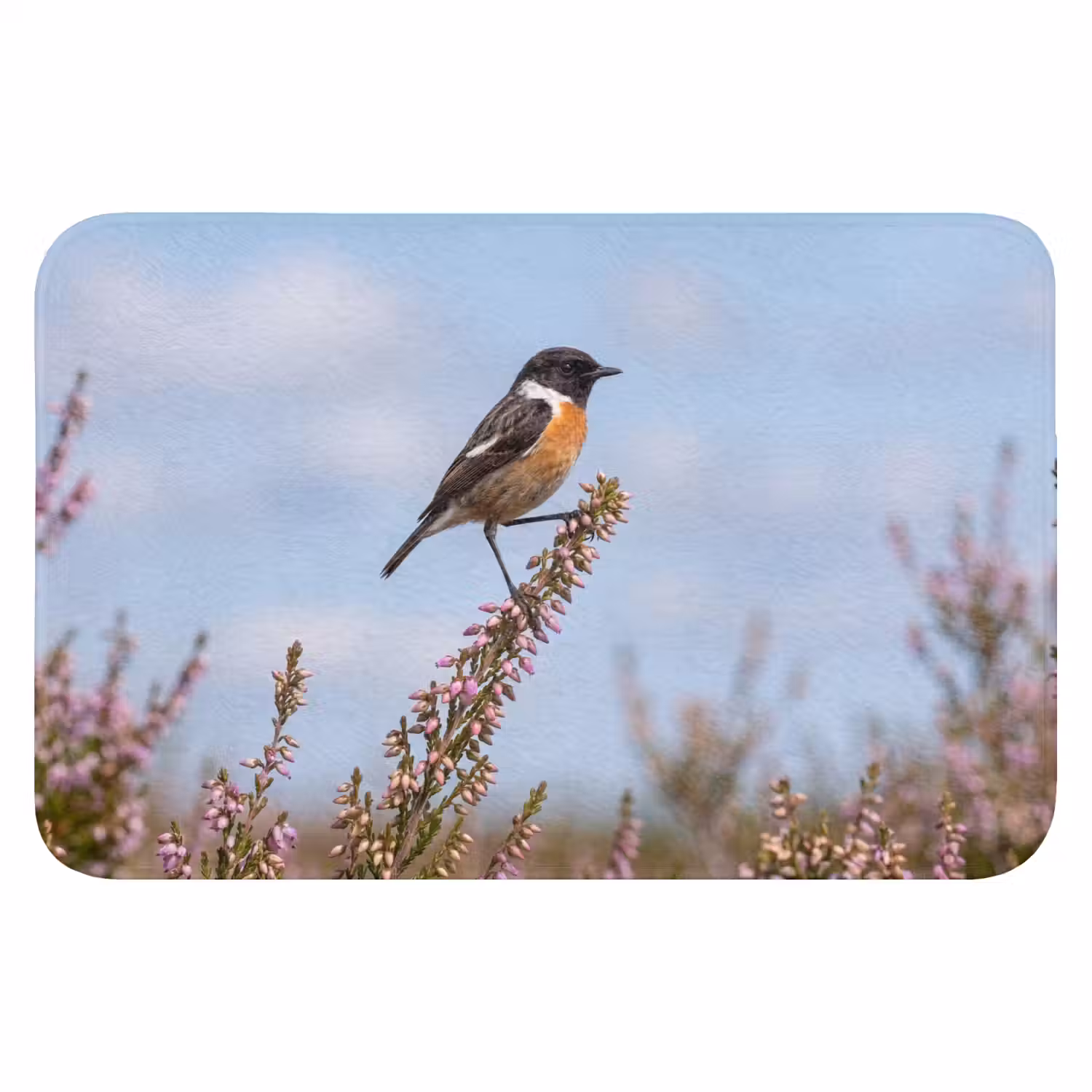 Roodborsttapuit - Heide - Paars - Natuur - Sfeervol Badmat klein -3d