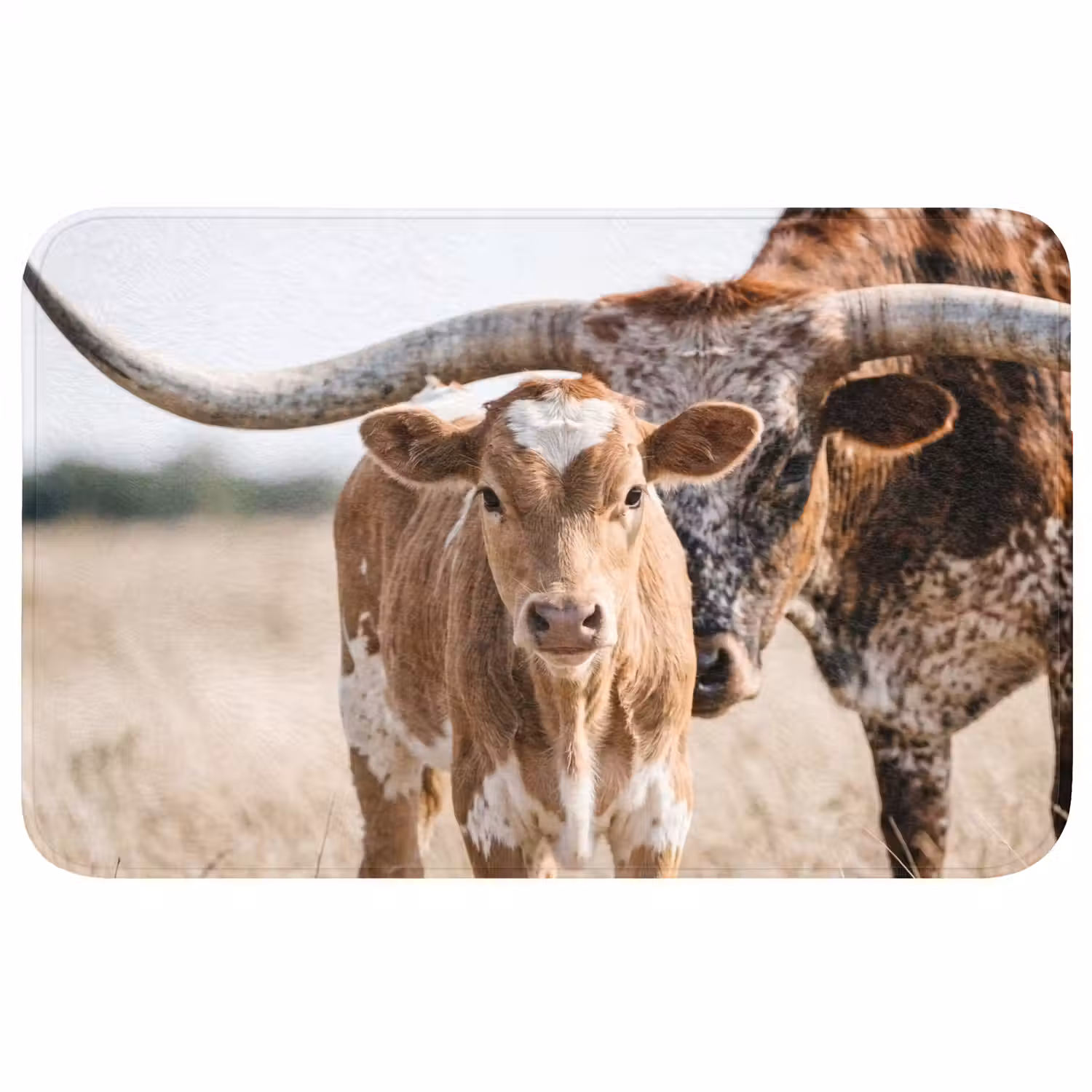Texas Longhorn - Kalf - Weide - Dieren Badmat klein -3d