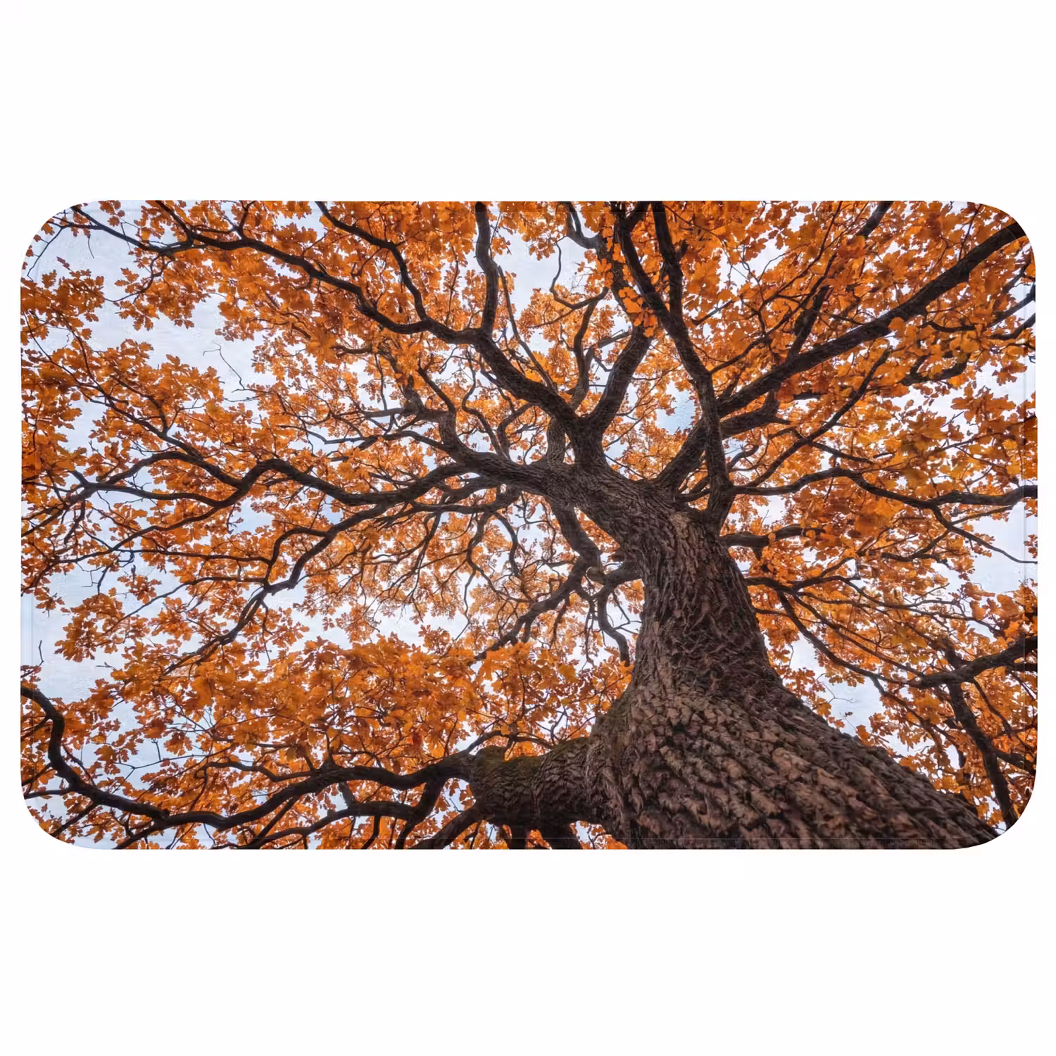 Boom - Bladerdak - Herfst - Oranje - Sfeervol Badmat klein -3d