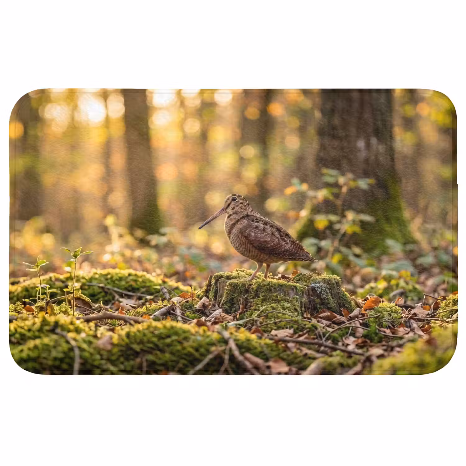 Houtsnip - Bos - Bladeren - Herfst - Gecamoufleerd Badmat klein -3d
