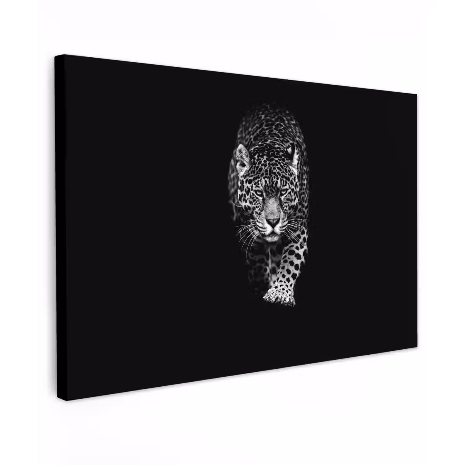 Dieren - Zwart - Luipaard - Wit - Wild canvas 2cm klein -z3d