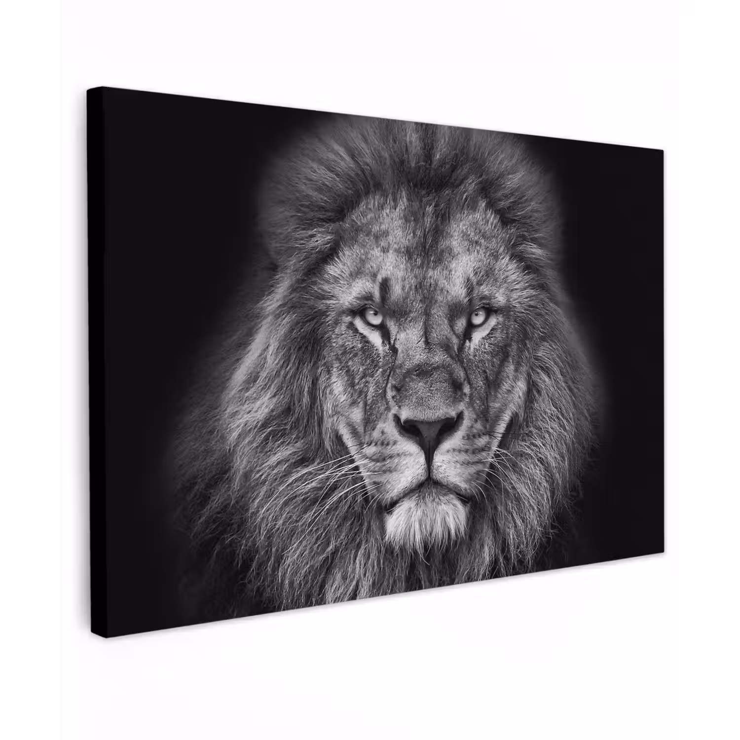 Dieren - Leeuw - Zwart - Wit - Portret canvas 2cm klein -z3d