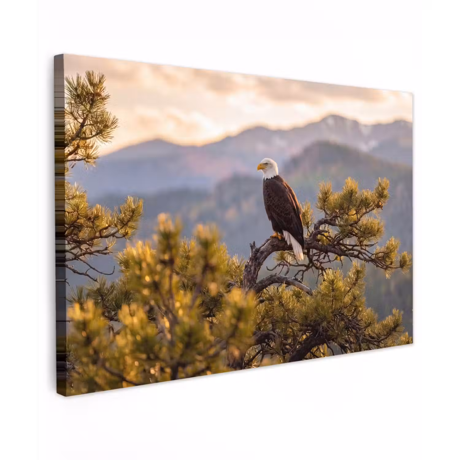 Zeearend - Boom - Bergen - Groen canvas 2cm klein -z3d