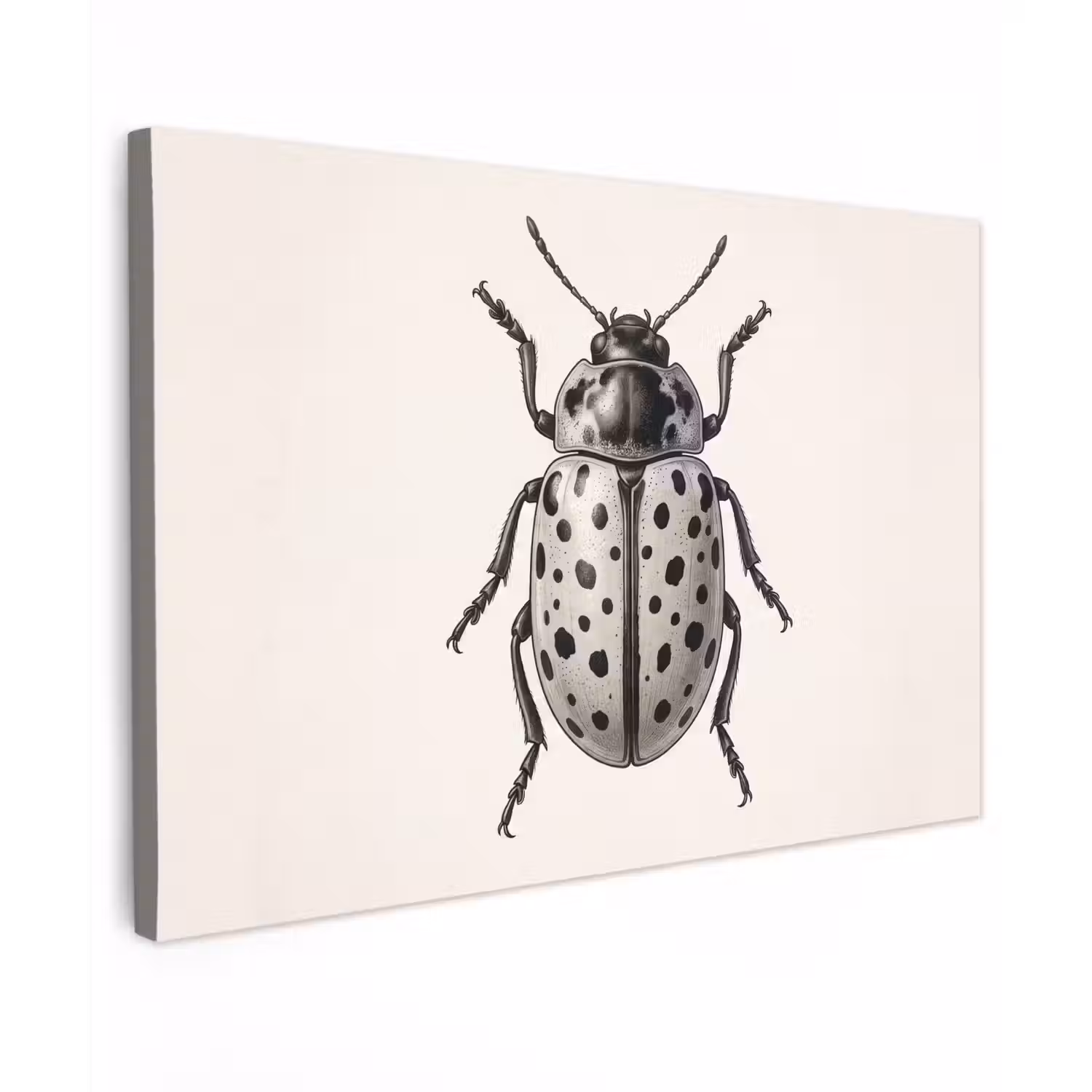 Kever - Insect - Vintage canvas 2cm klein -z3d