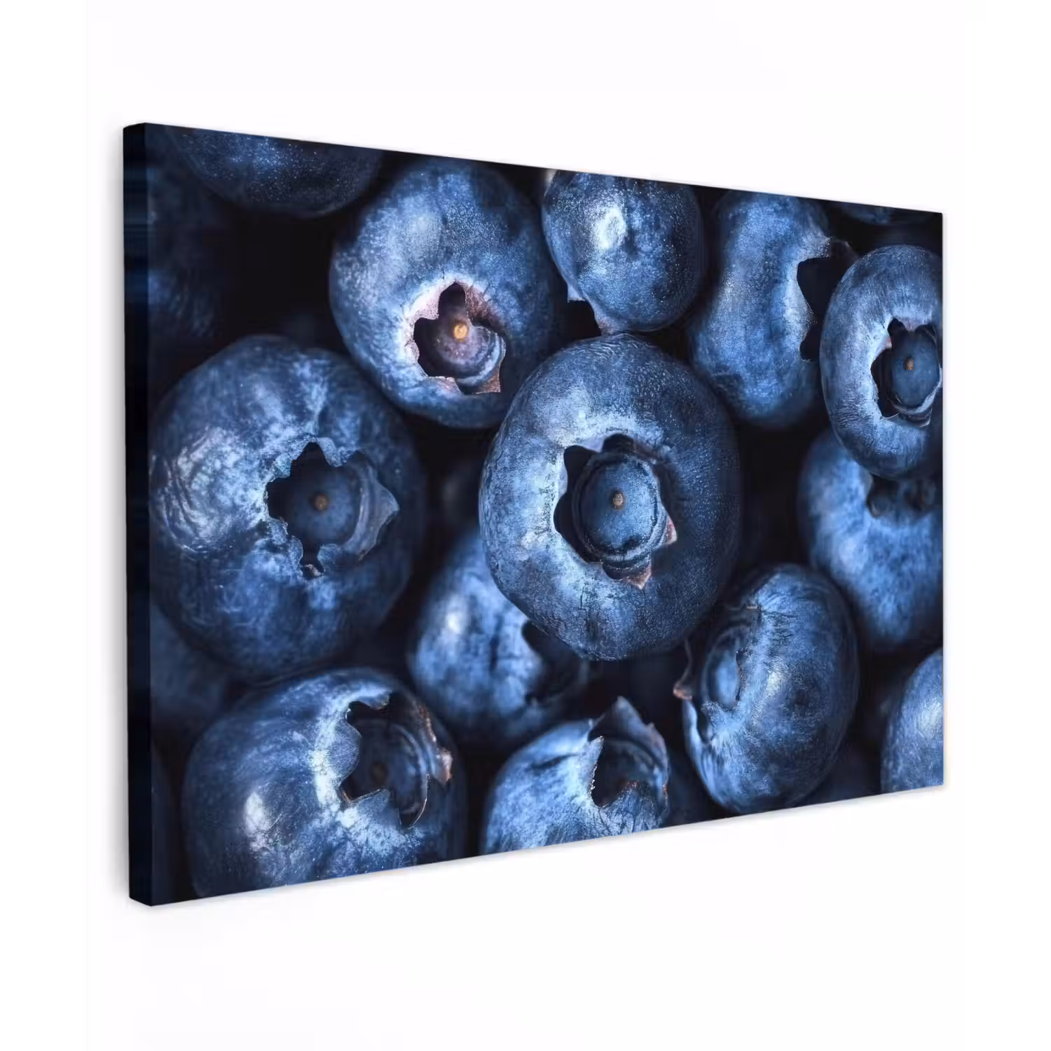 Bessen - Blauw - Fruit canvas 2cm klein -z3d