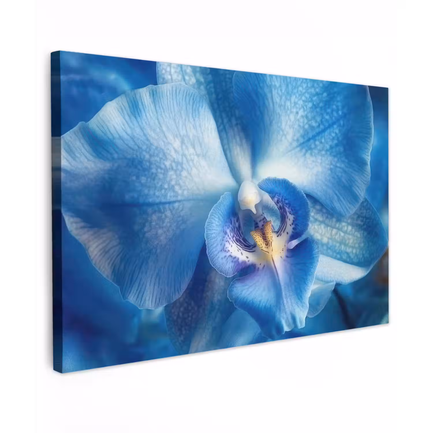Blauw - Orchidee - Elegeant canvas 2cm klein -z3d