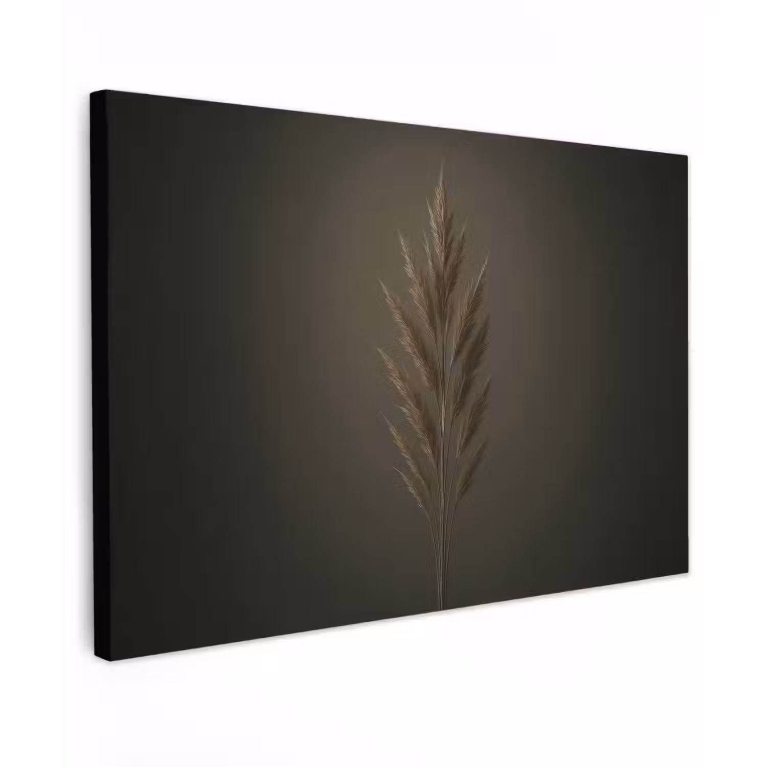Tak - Pluimgras - Donkerbruin canvas 2cm klein -z3d