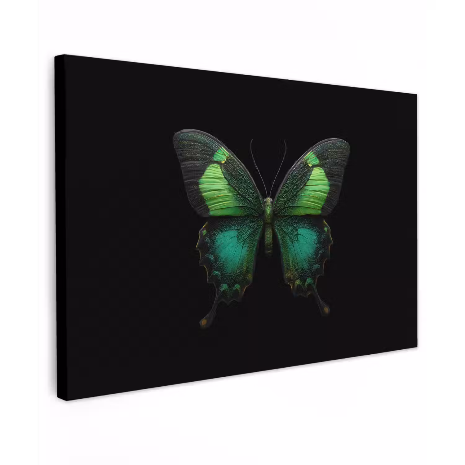 Vlinder - Groen - Opvallend canvas 2cm klein -z3d