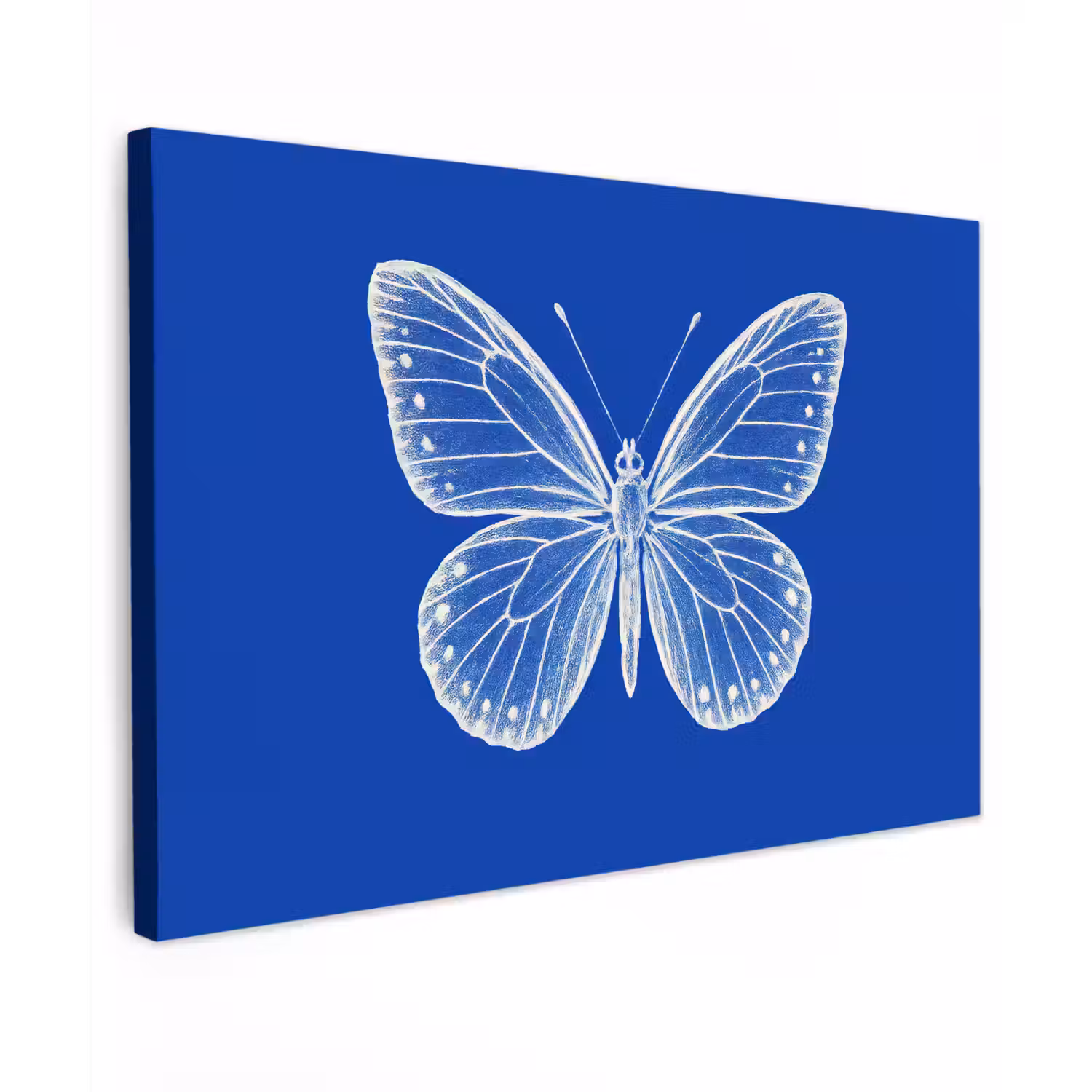 Vlinder - Wit - Getekend - Stippen canvas 2cm klein -z3d