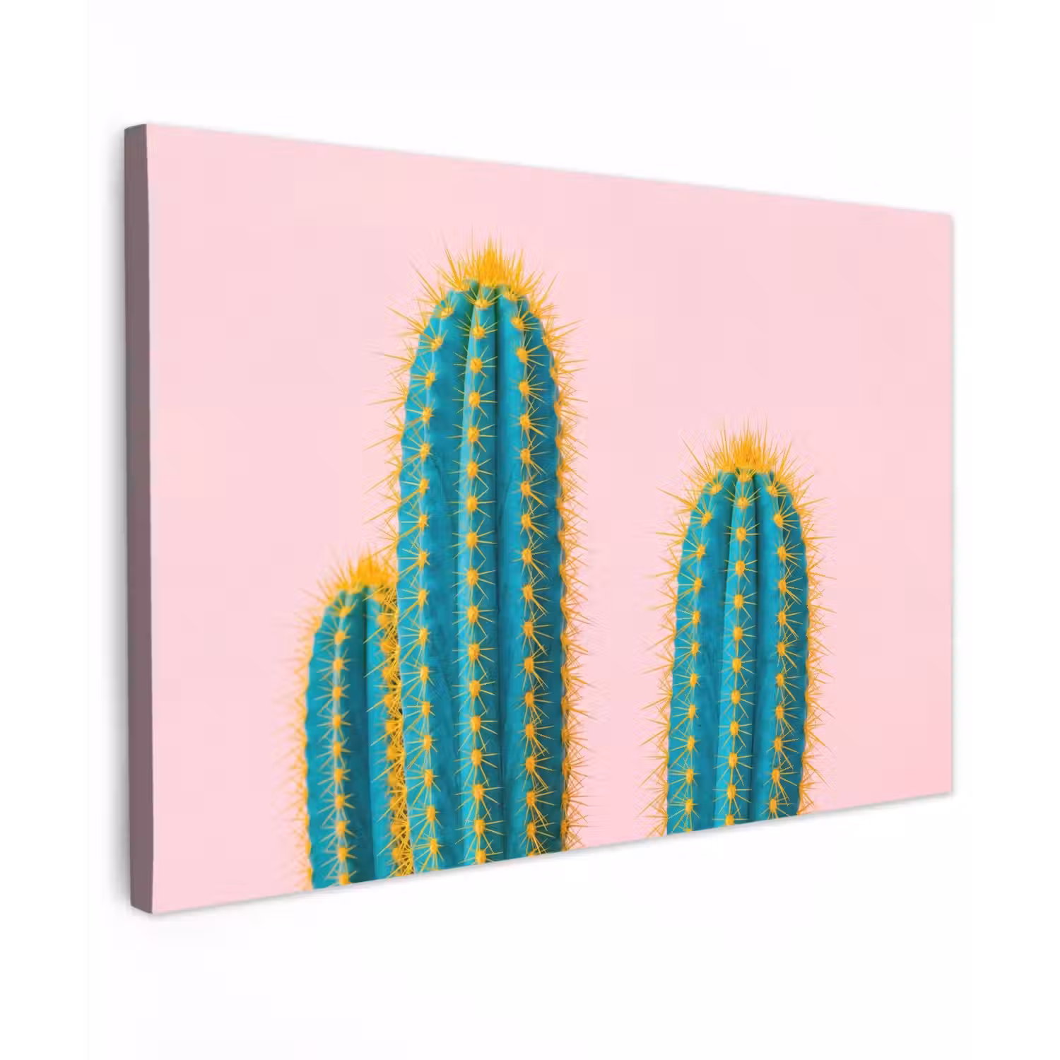 Cactussen - Modern - Pastel canvas 2cm klein -z3d