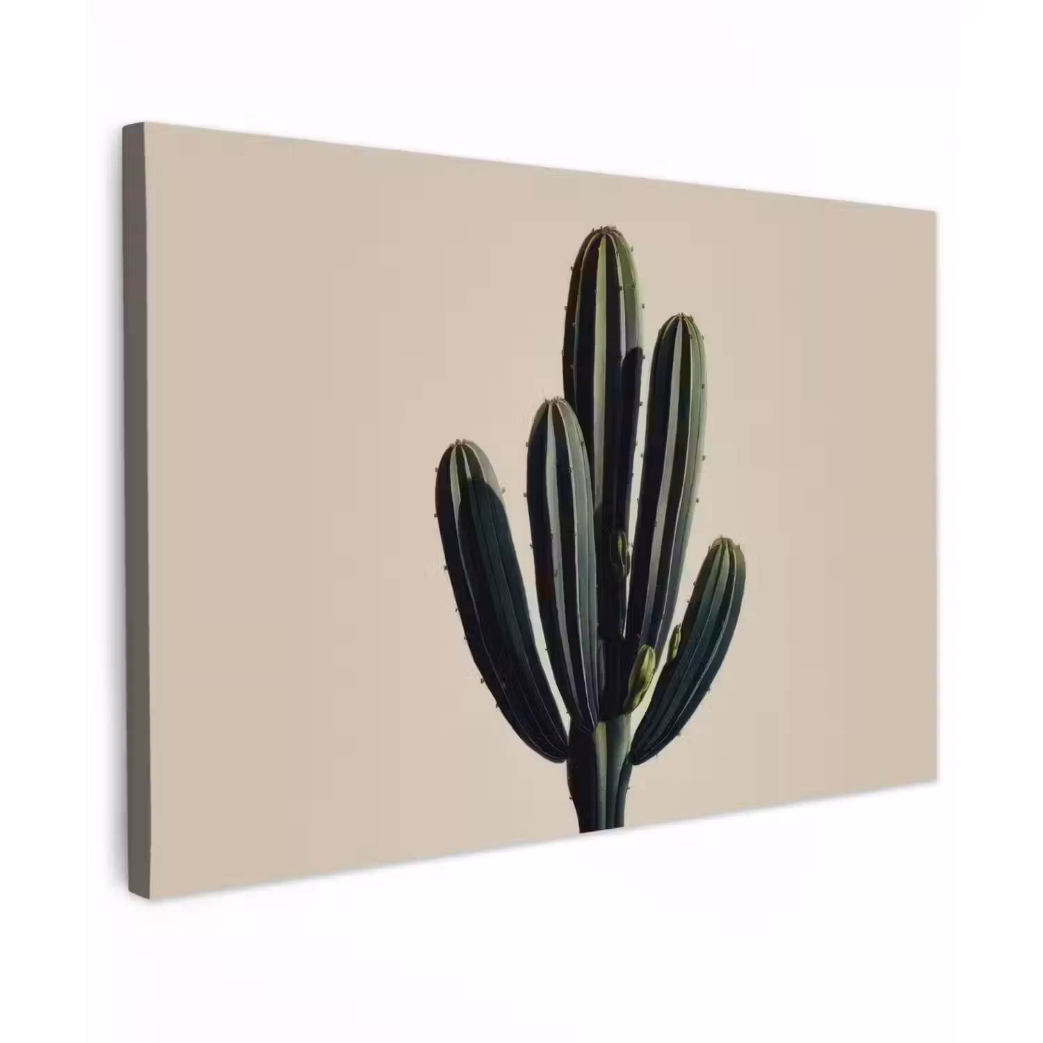 Cactus - Subtiel - Groen canvas 2cm klein -z3d