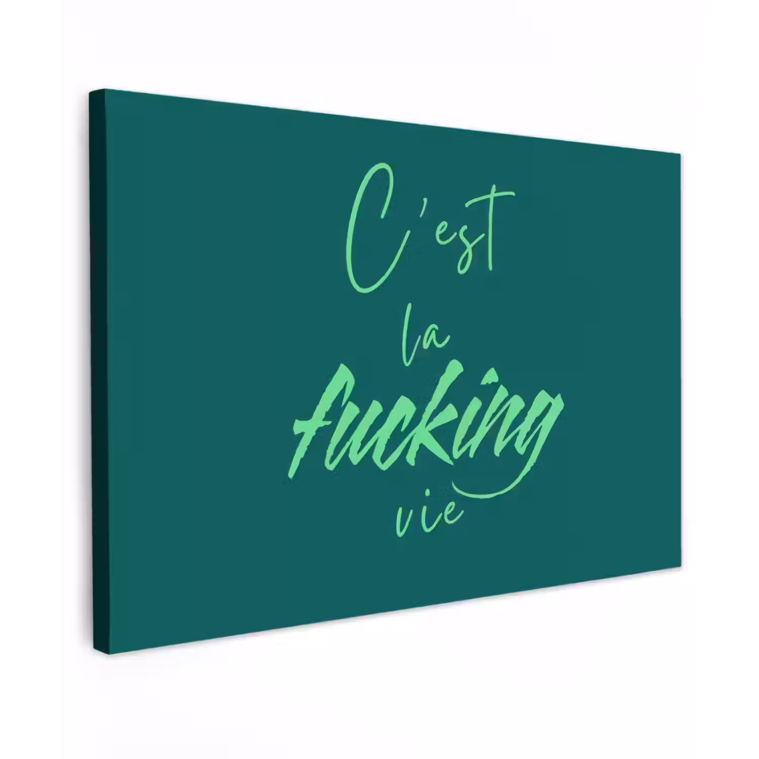 c'est la fucking vie - Groen - Handgeschreven canvas 2cm klein -z3d