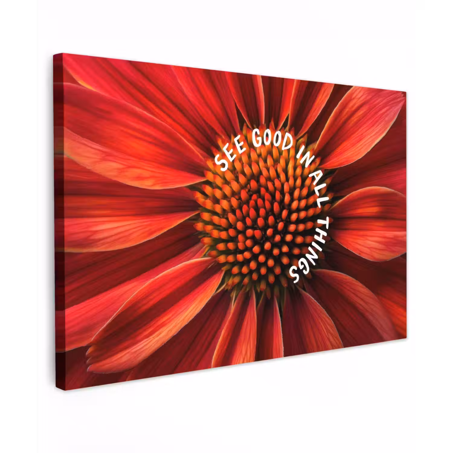 Close up - Bloem - Quote - Rood canvas 2cm klein -z3d