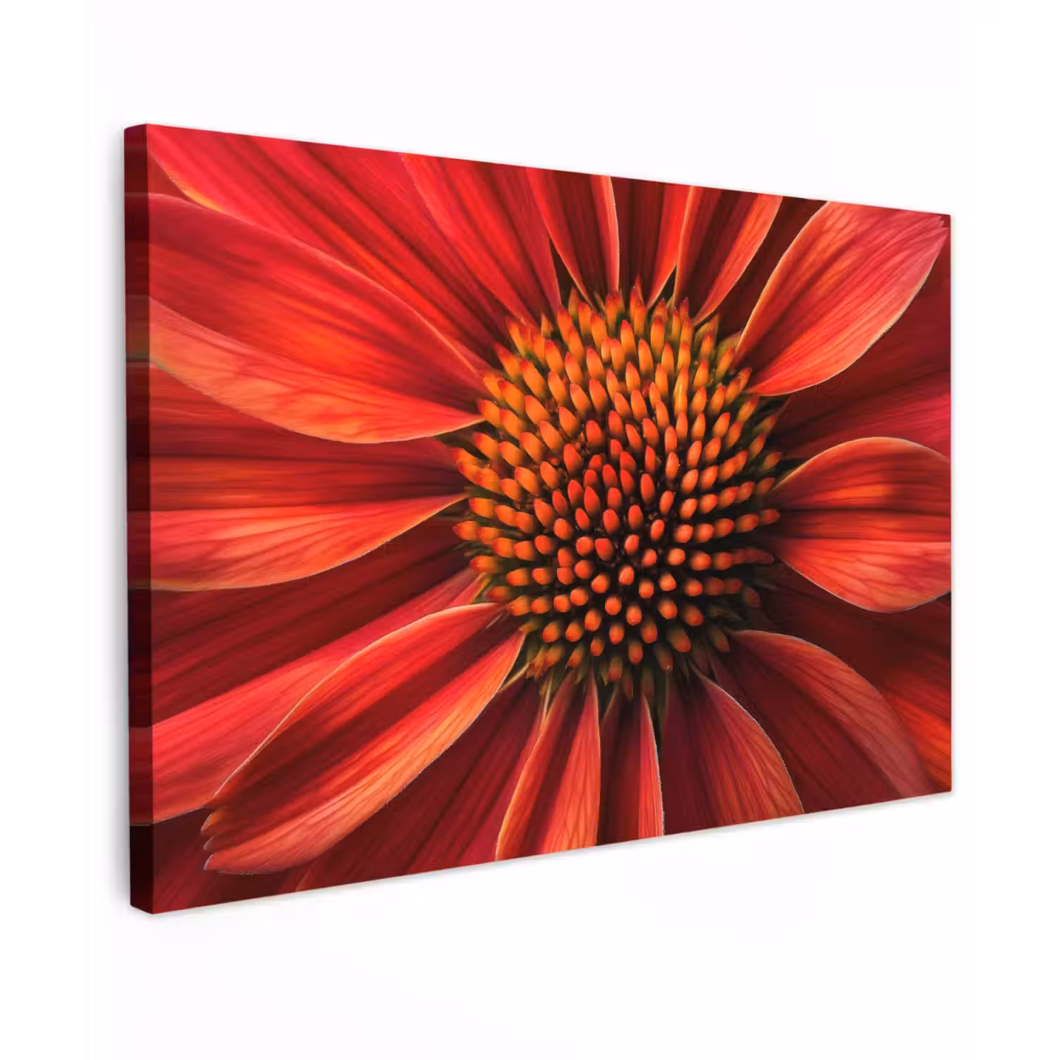 Close up - Bloem- Rood canvas 2cm klein -z3d