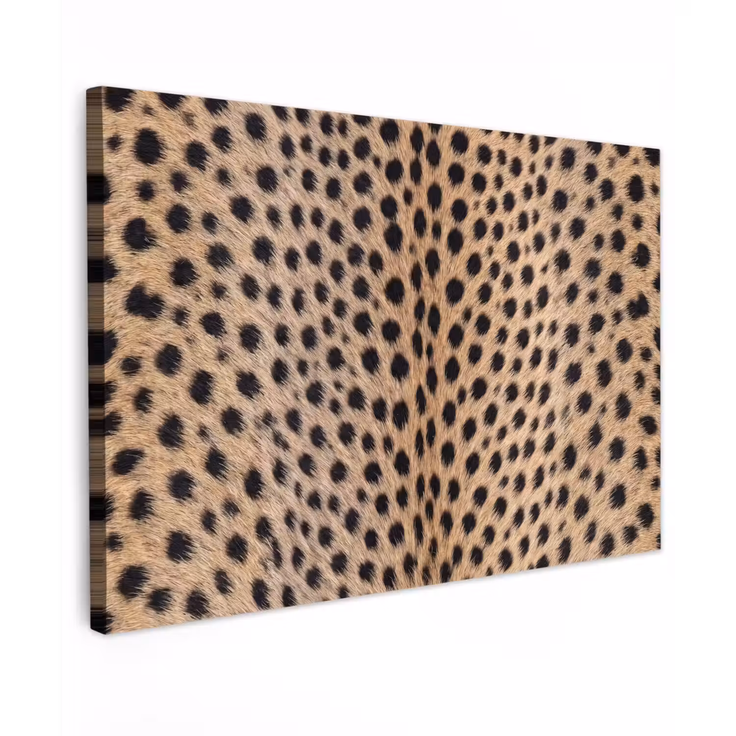 Vacht - Jachtluipaard - Zwart - Wit canvas 2cm klein -z3d