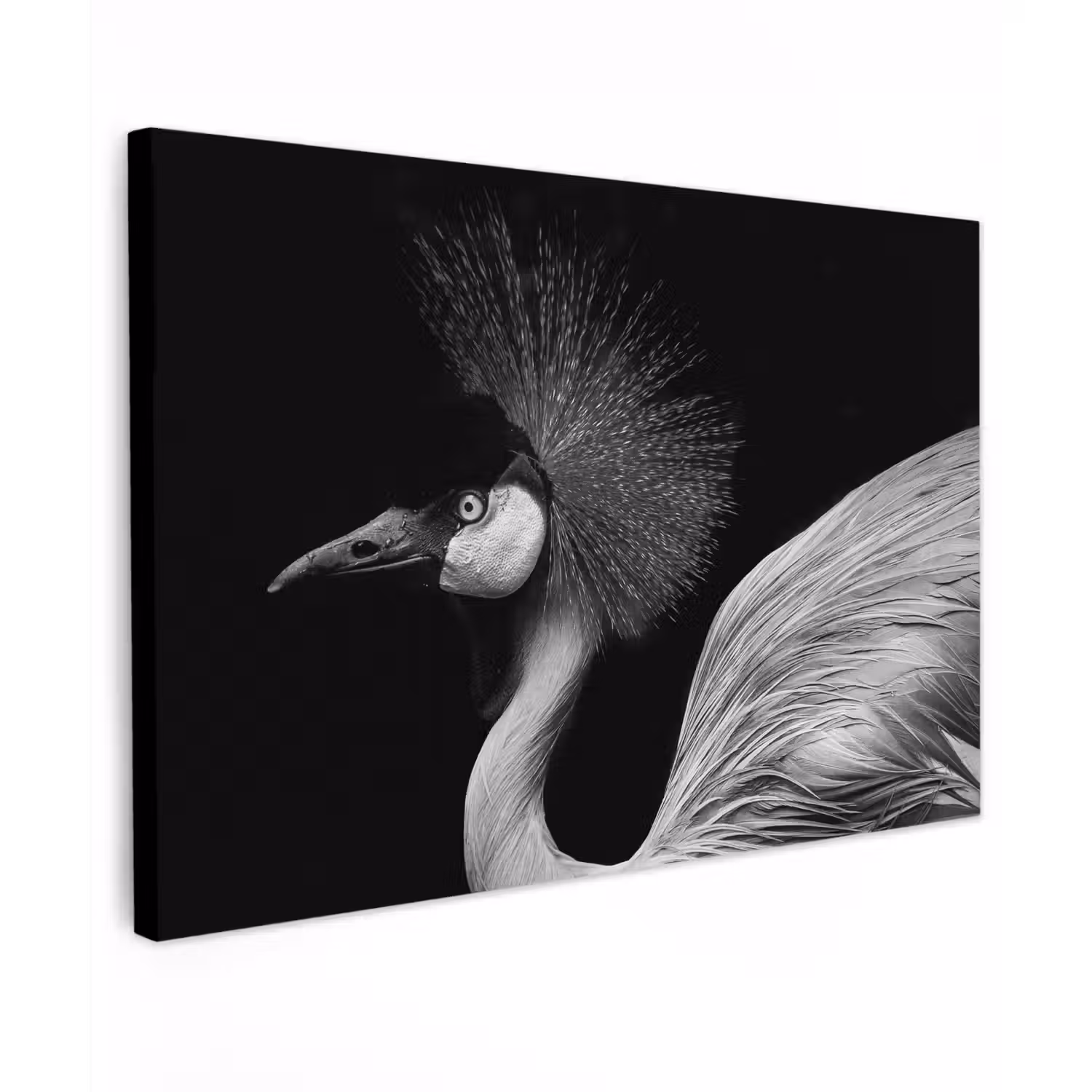 Kraanvogel - Zwart - Wit - Vogel - Dieren canvas 2cm klein -z3d