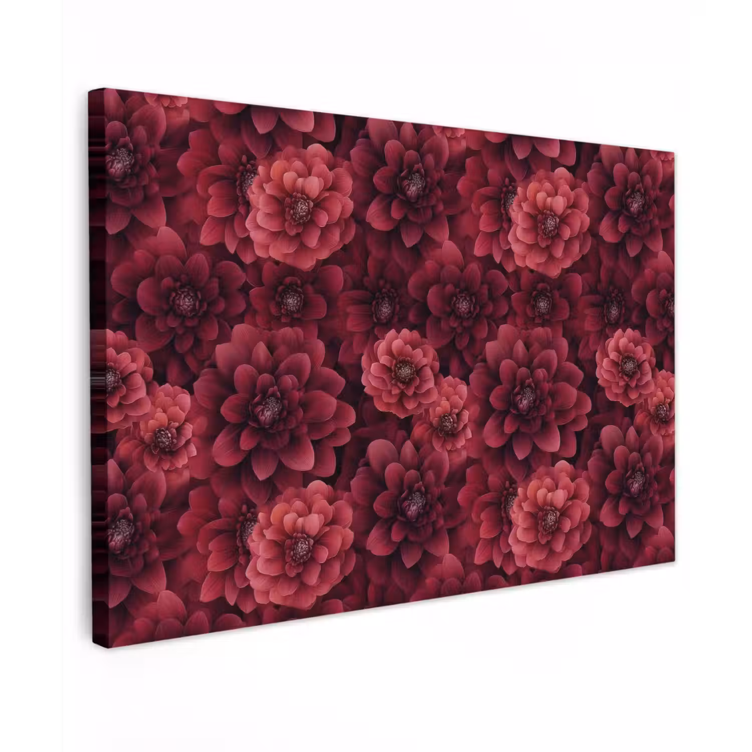 Dahlias - Bloemen - Rood canvas 2cm klein 34 -z3d