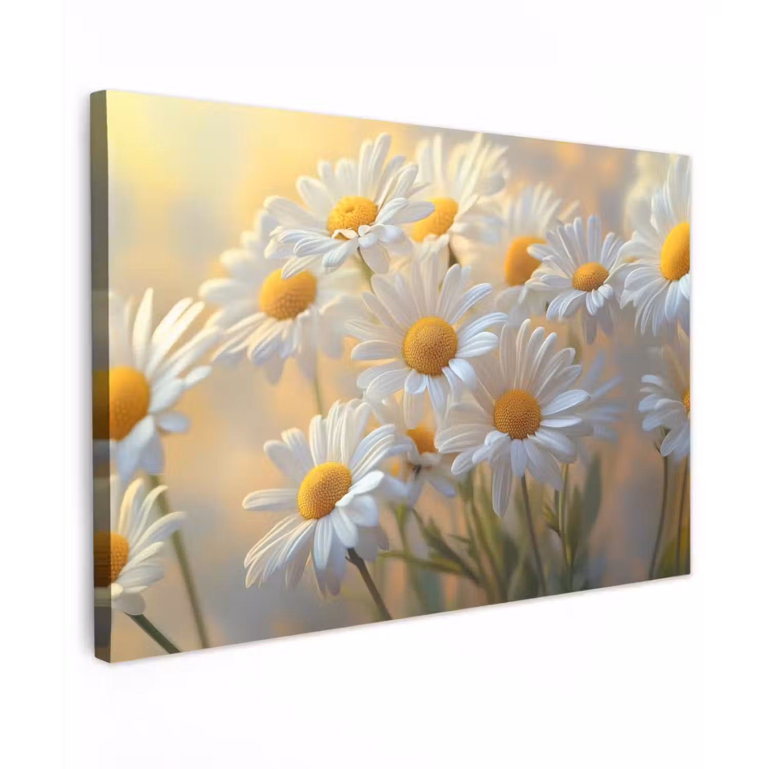 Madeliefjes - Wit - Zonlicht canvas 2cm klein -z3d