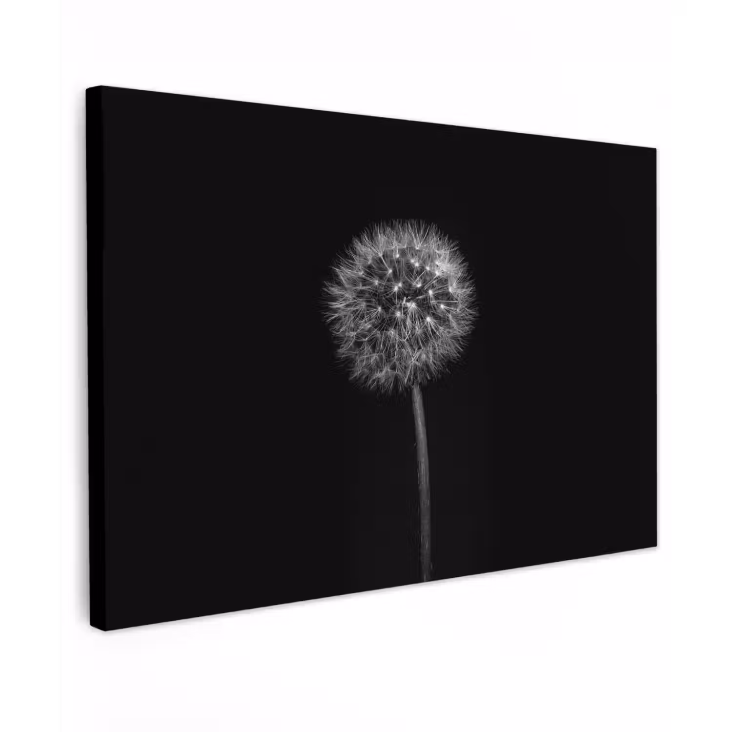 Paardenbloem - Zwart - Bloemen - Botanisch canvas 2cm klein -z3d