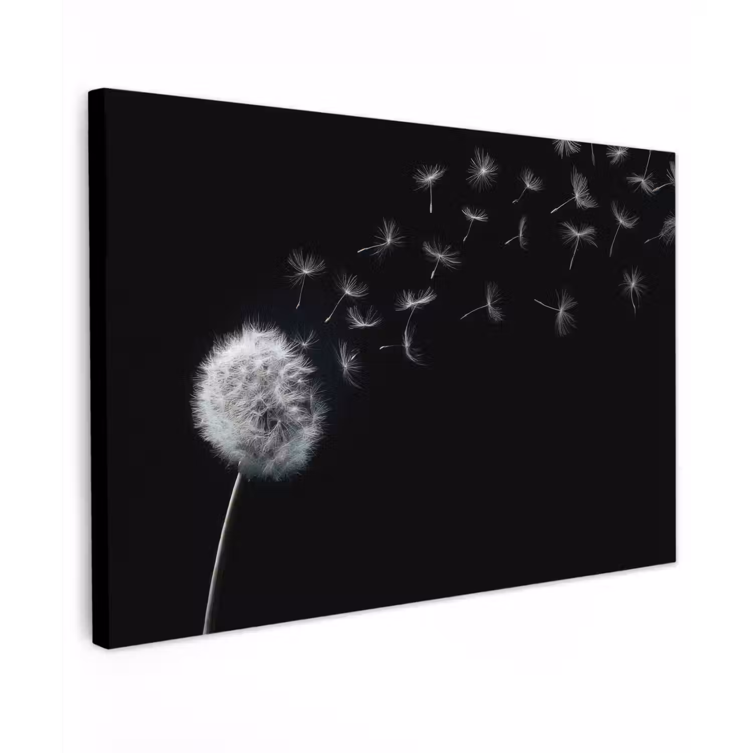 Paardenbloem - Zwart - Natuur canvas 2cm klein -z3d