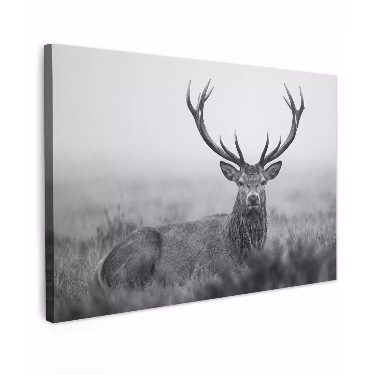 Hert - Mistig - Zwart - Wit canvas 2cm klein -z3d