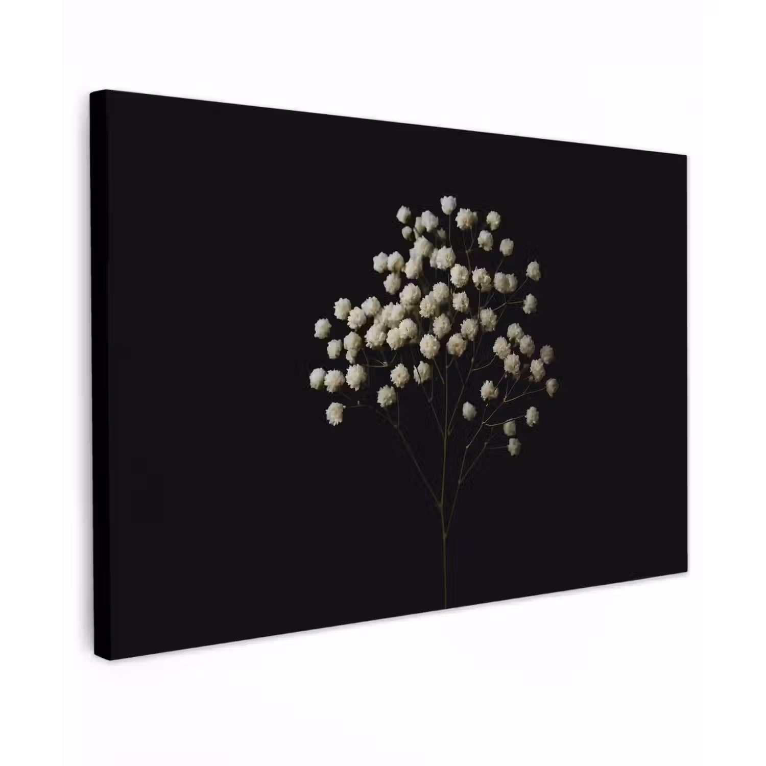 Gipskruid - Bloemetjes - Wit - Minimalistisch canvas 2cm klein -z3d