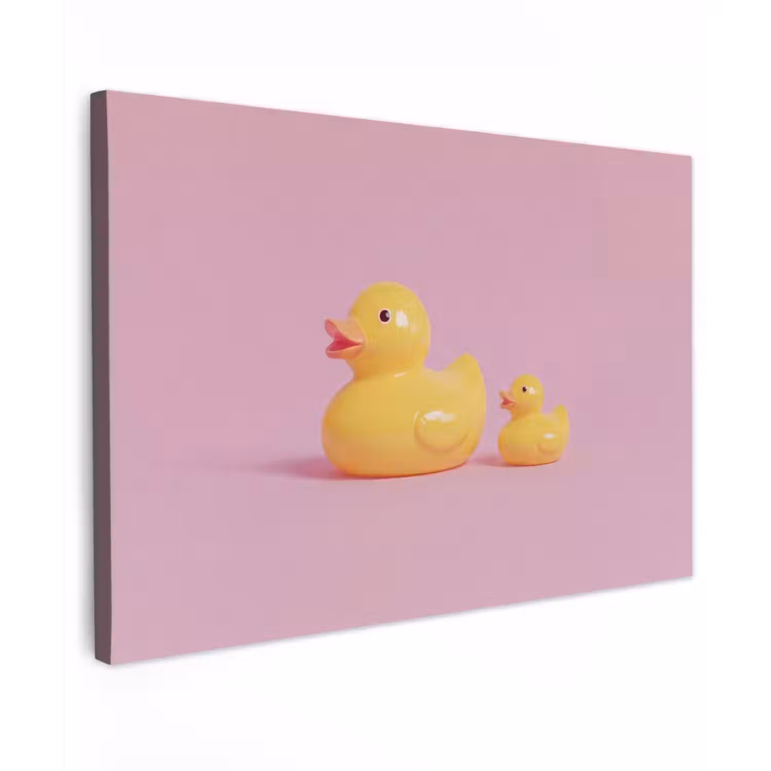 Eendjes - Vrolijk - Roze canvas 2cm klein -z3d