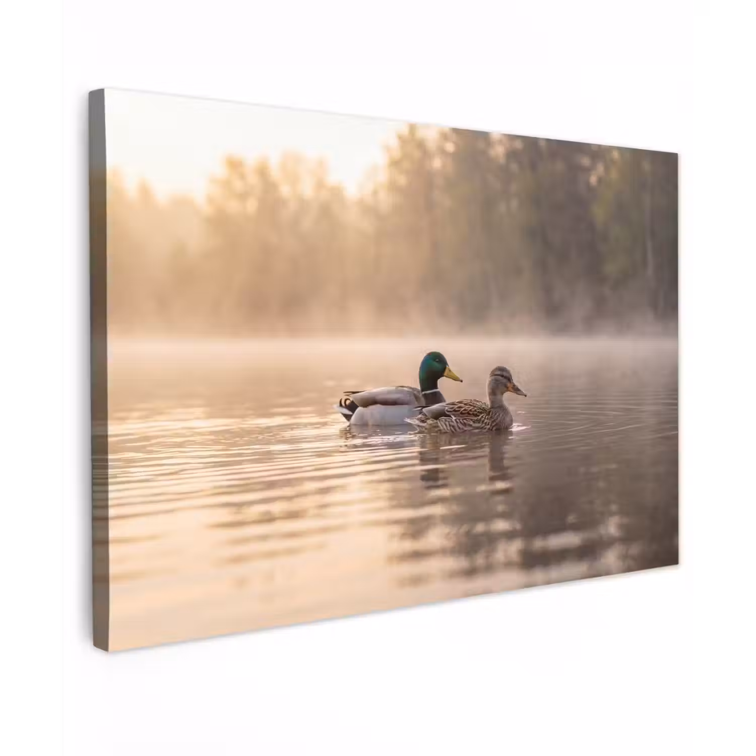 Eenden - Water - Mist - Natuur canvas 2cm klein -z3d