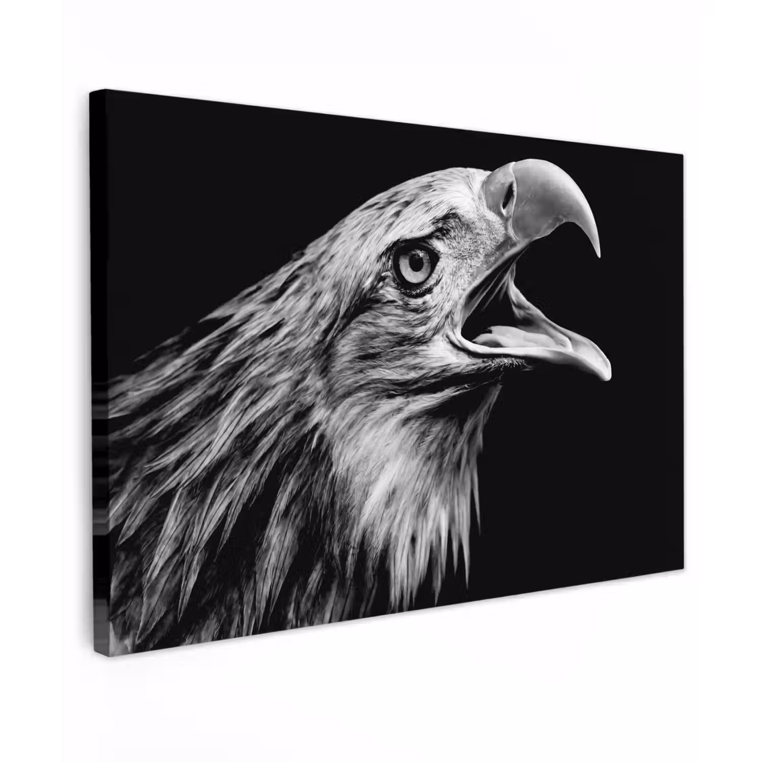 Adelaar - Portret - Roofvogels - Zwart - Wit - Vogel canvas 2cm klein -z3d