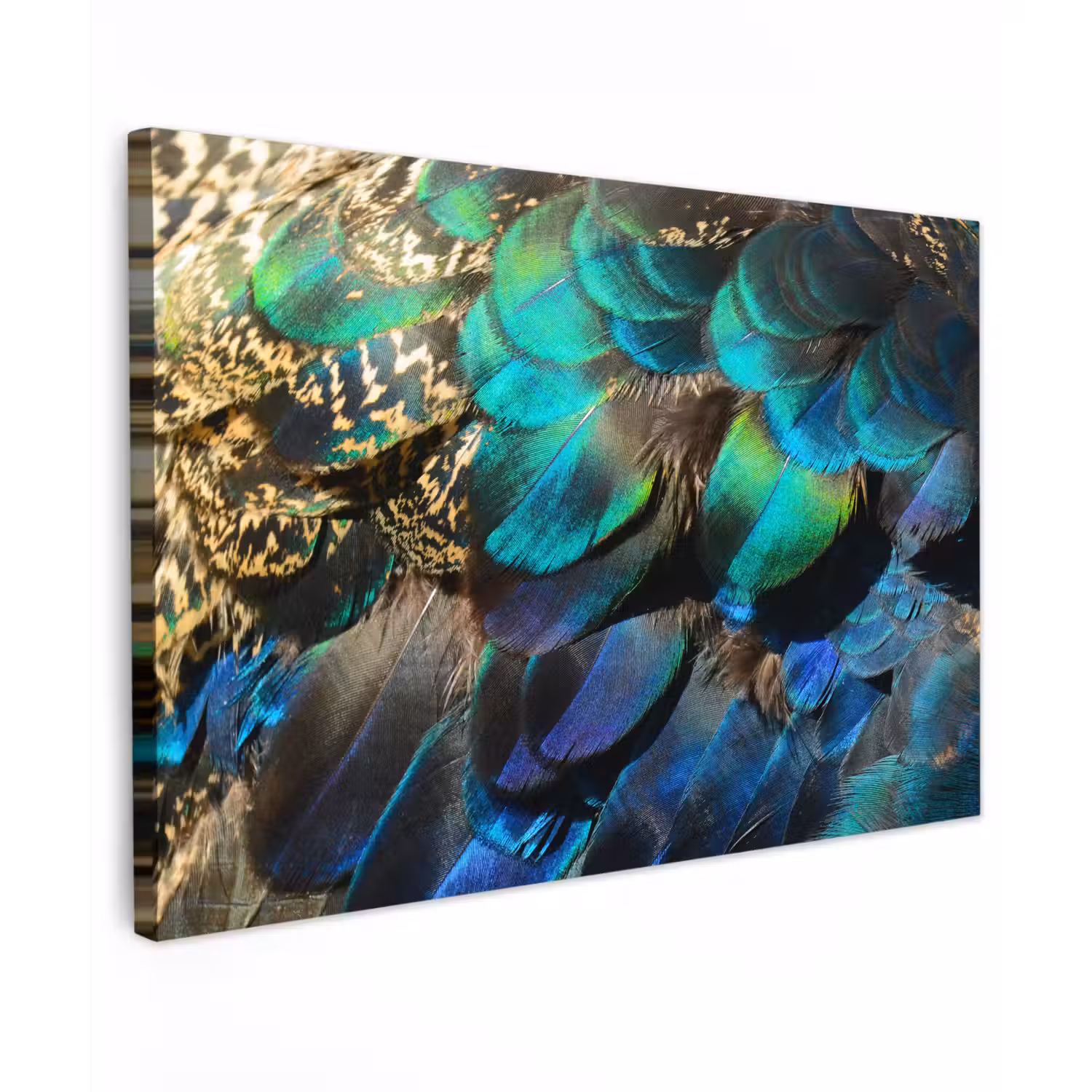 Veren - Pauwveren - Pauw - Blauw - Kunst canvas 2cm klein -z3d