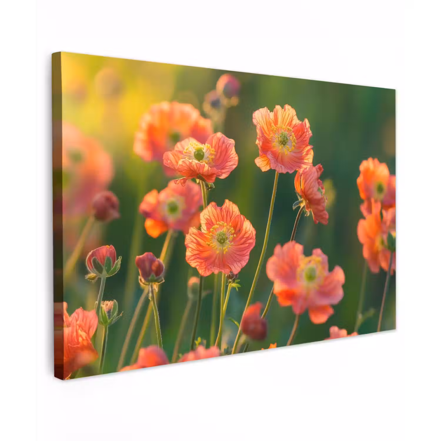 Bloemenveld - Zonnestralen - Oranje canvas 2cm klein -z3d
