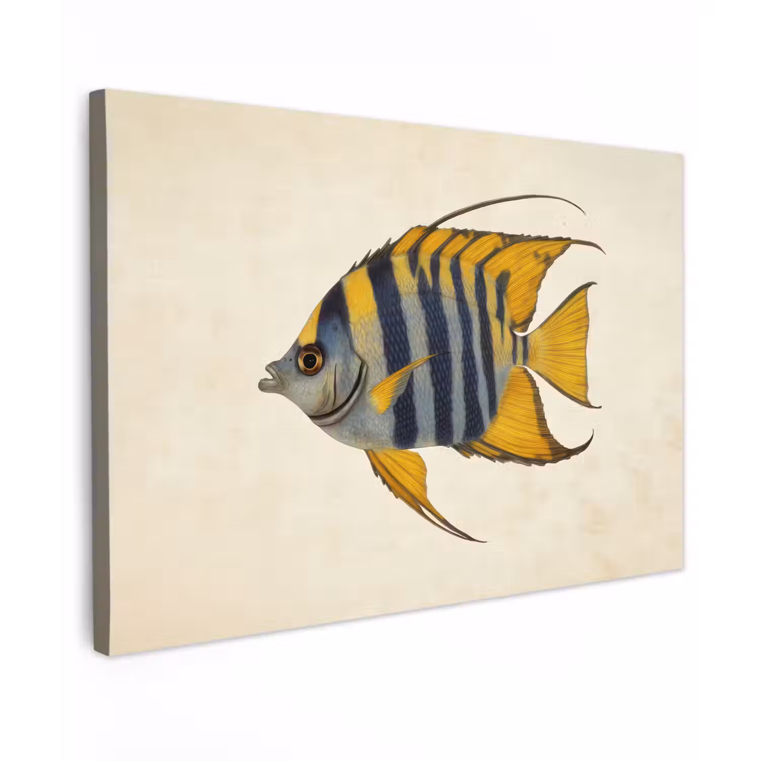 Vis - Sierlijk - Vinnen - Illustratie canvas 2cm klein -z3d