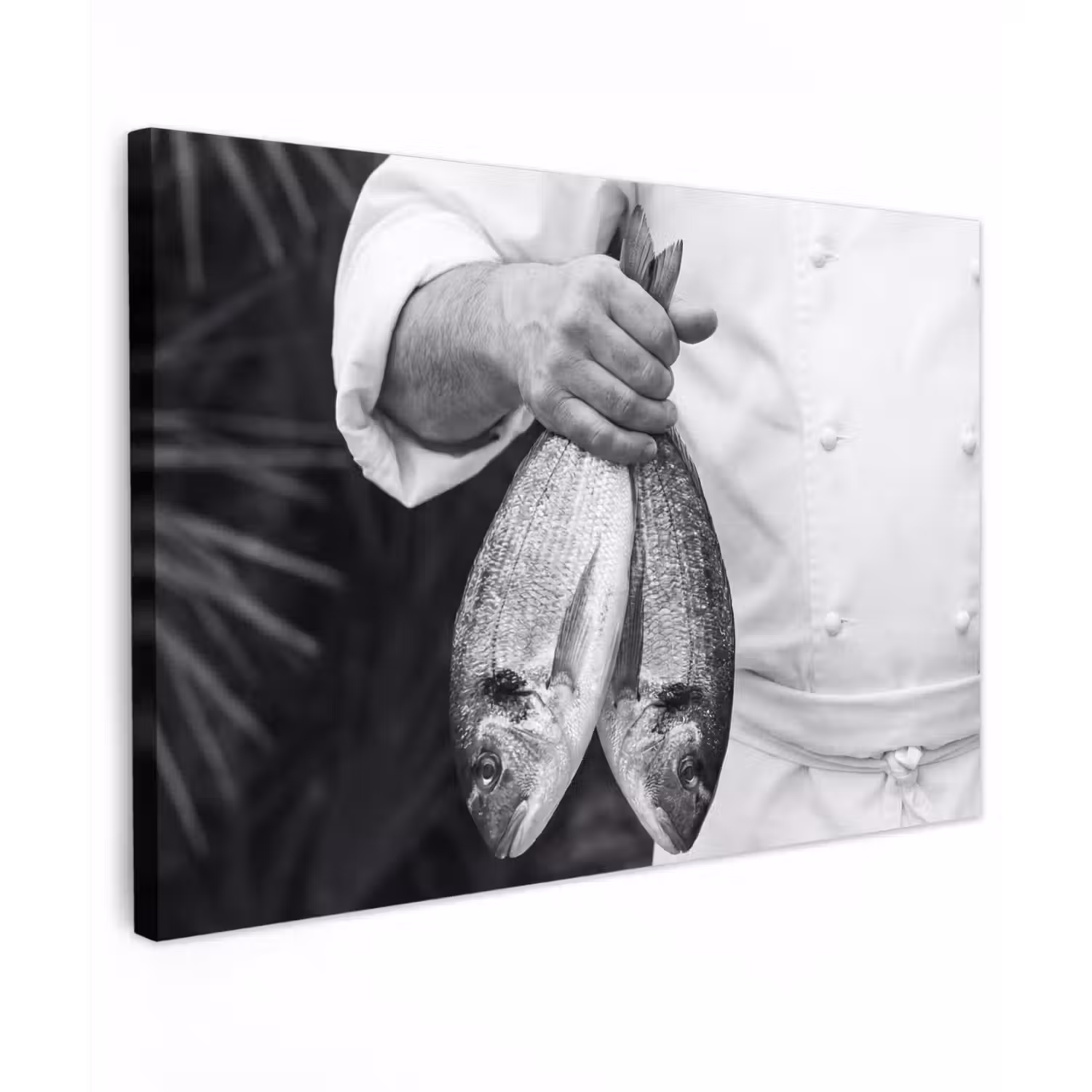 Vissen - Chef - Zwart - Wit canvas 2cm klein -z3d