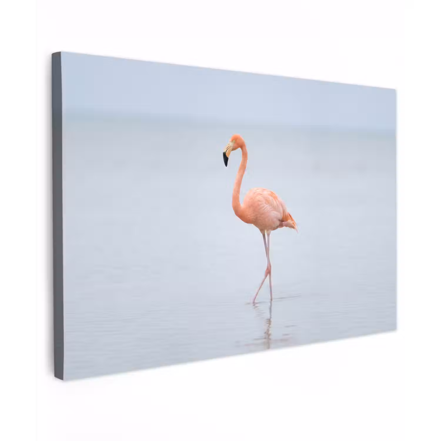 Flamingo - Zee - Roze canvas 2cm klein -z3d