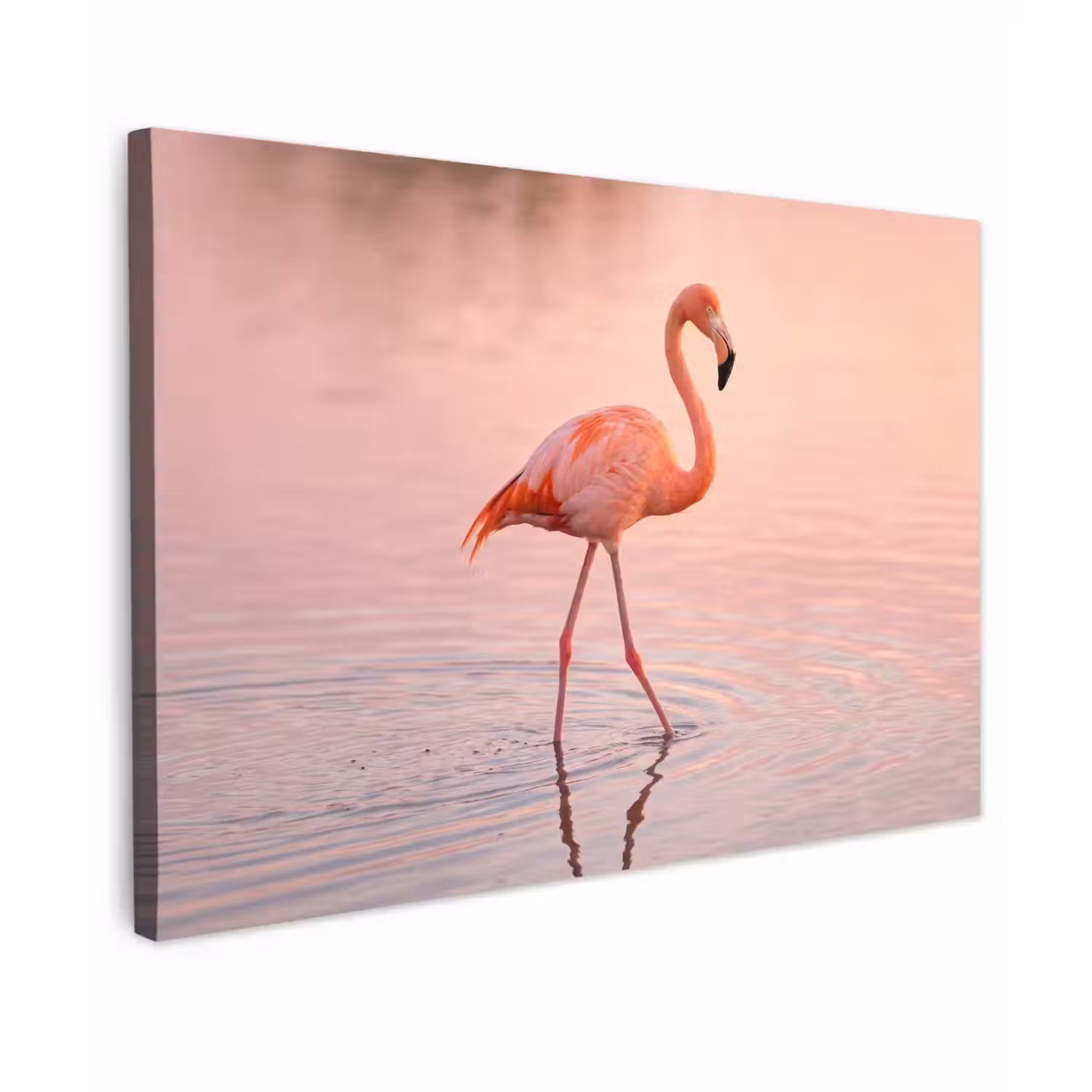Flamingo - Water - Roze canvas 2cm klein -z3d
